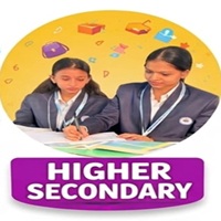Higher Secondary